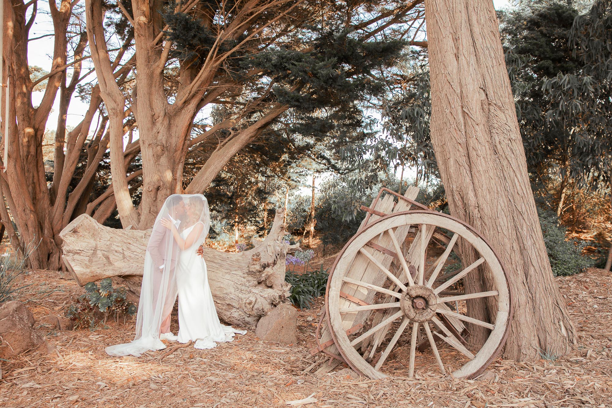 A couple at The Shearing Shed on Phillip Island in a rustic garden, photographed by Royale Photography.